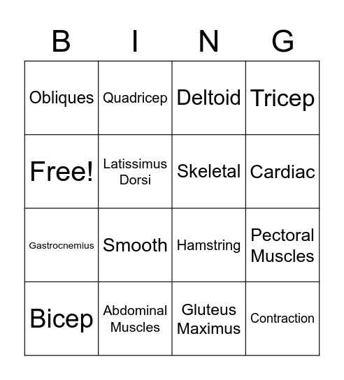 Muscular System Bingo Card