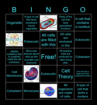 Angel Liburd Cell Theory Bingo Card