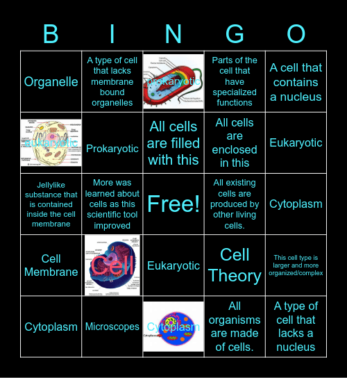 Angel Liburd Cell Theory Bingo Card