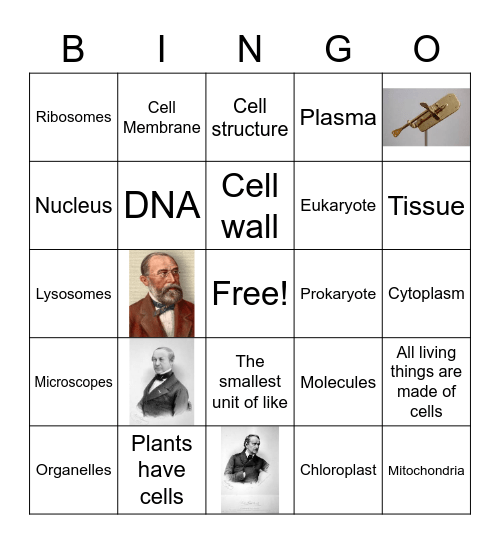 Rickwan Nickie Cell Theory Bingo Card