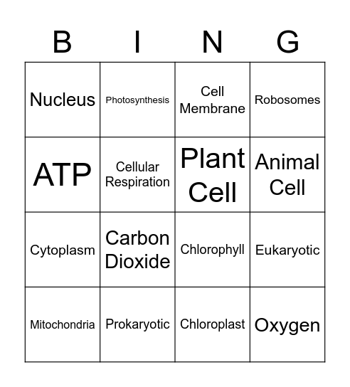 Biology Bingo! Bingo Card