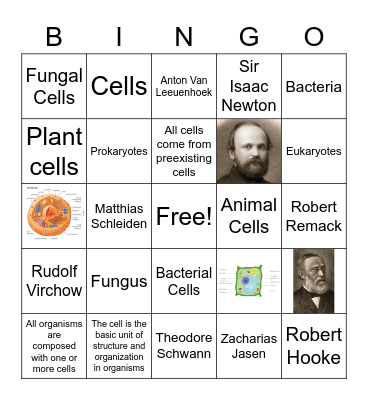 Matthew Hart Cell Theory Bingo Card