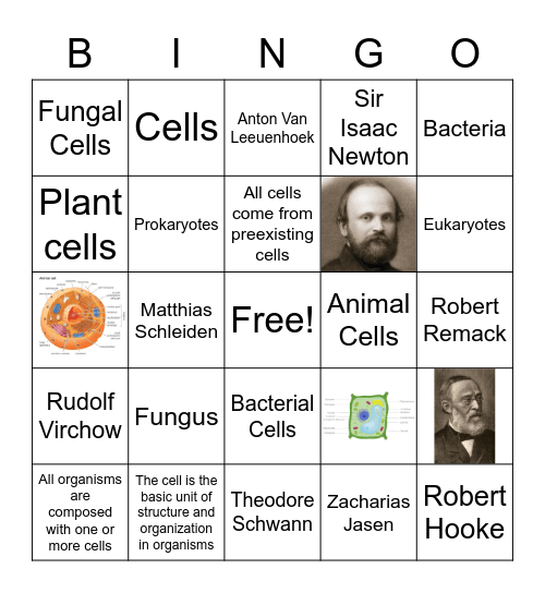 Matthew Hart Cell Theory Bingo Card