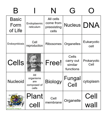 Deante Simon       Cell theory Bingo Card