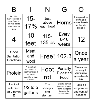 Lamb Project Bingo Card
