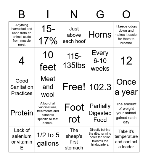 Lamb Project Bingo Card