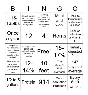 Lamb Project Bingo Card