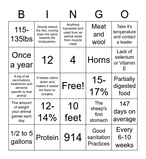 Lamb Project Bingo Card