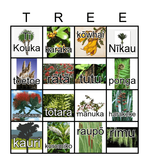 He Rākau Bingo Card