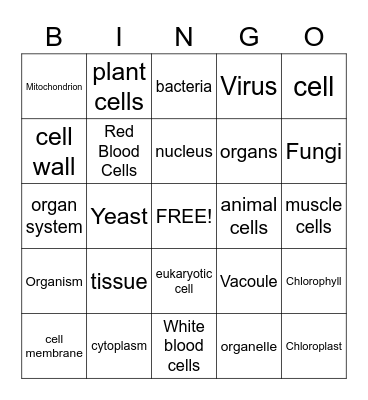 Cells and Organisms Bingo Card