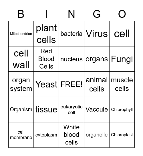 Cells and Organisms Bingo Card