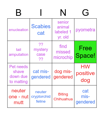 Vet Services/Surgery Bingo Card