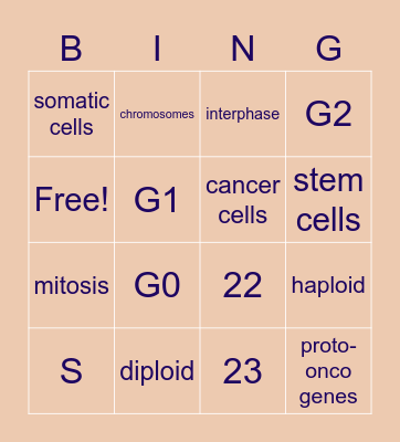 The Cell Cycle! Bingo Card