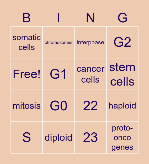 The Cell Cycle! Bingo Card