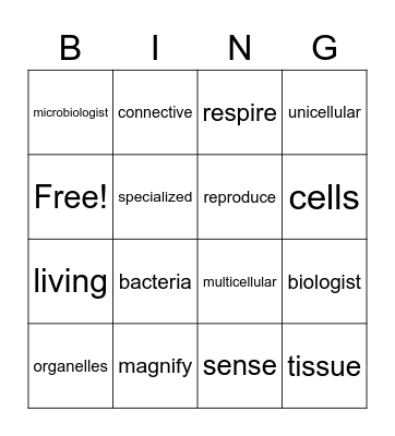 STEAM B3 Vocabulary Bingo Card