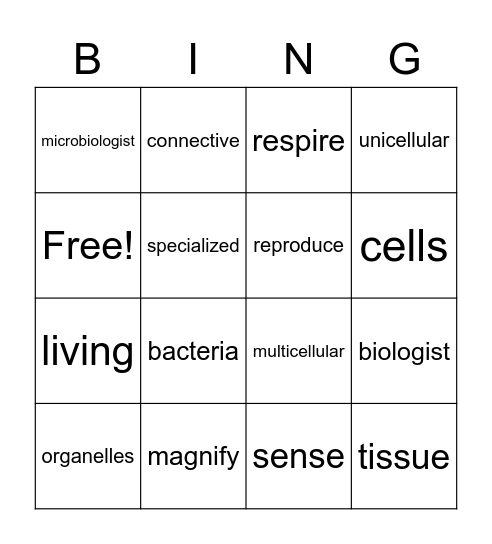 STEAM B3 Vocabulary Bingo Card