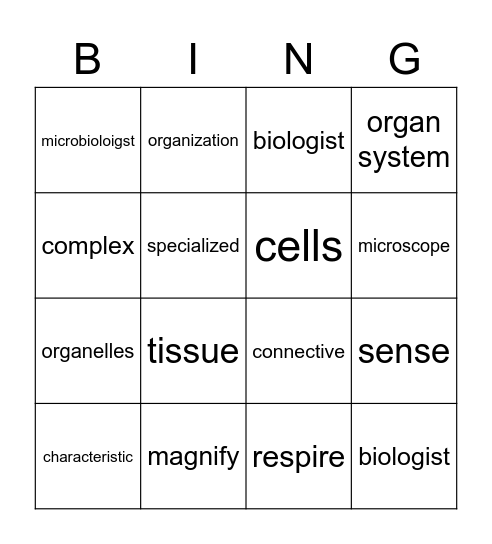 STEAM B3 Ruby Bingo Card