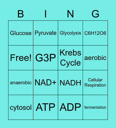 Cellular Respiration Bingo Card