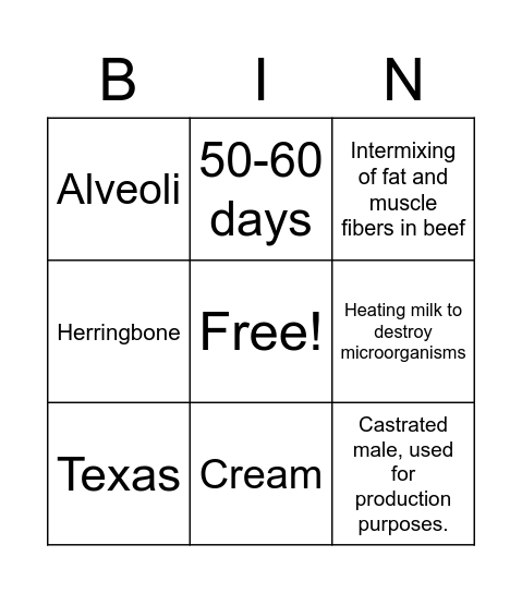 BEEF & DAIRY BINGO! Bingo Card