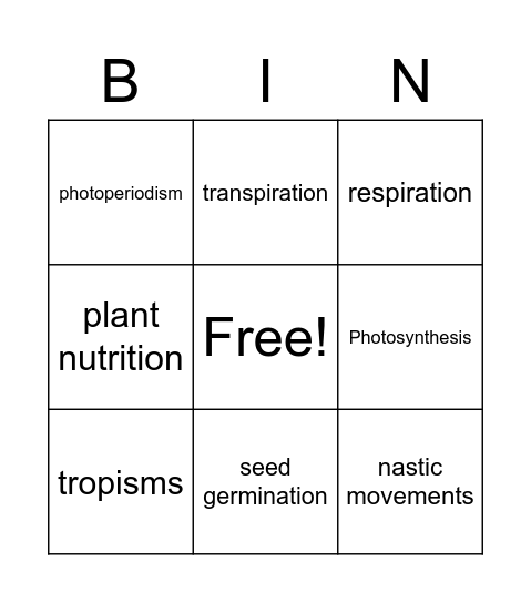 Plant processes Bingo Card