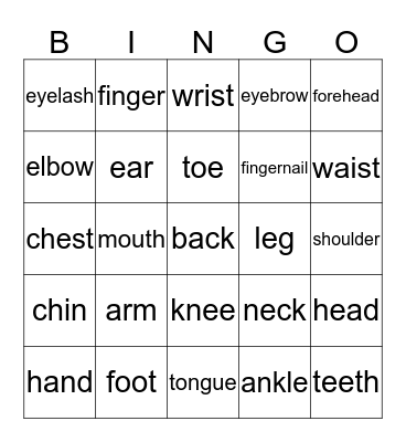 Body Part Bingo Card