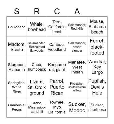 ENDANGERED SPECIES Bingo Card