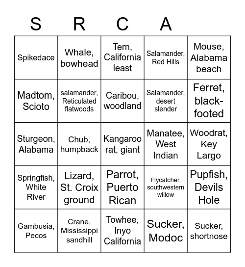 ENDANGERED SPECIES Bingo Card