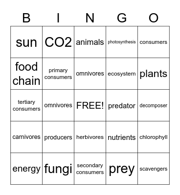 Food Chain Bingo Card