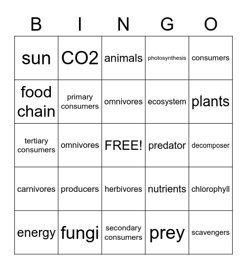 Food Chain Bingo Card