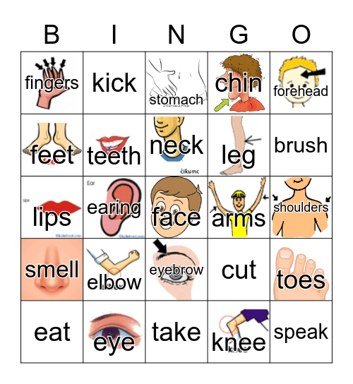 BODY AND SENSES TPMM Bingo Card