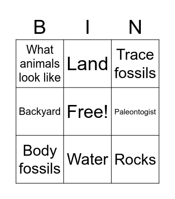 Fossils Bingo Card