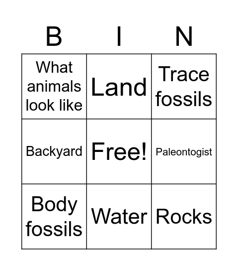 Fossils Bingo Card