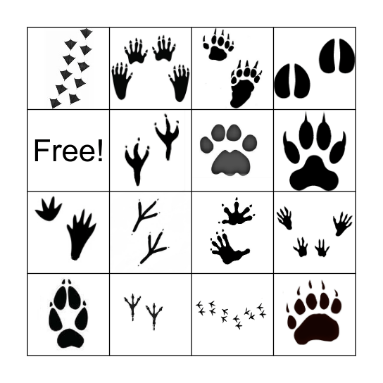 VBGA Urban Wildlife Bingo Card