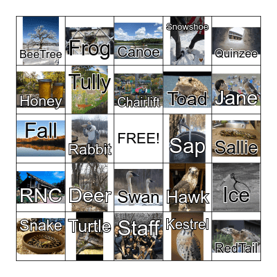 Richardson Nature Center Bingo Card