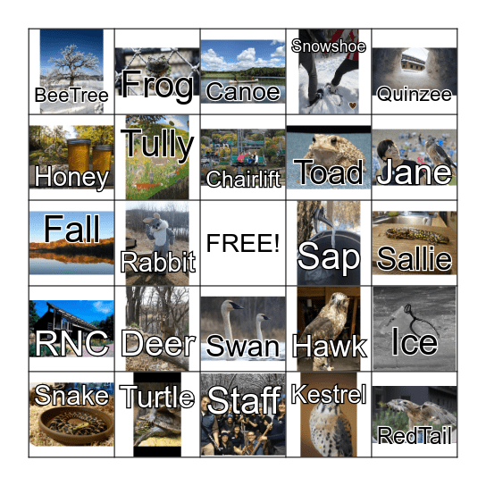 Richardson Nature Center Bingo Card