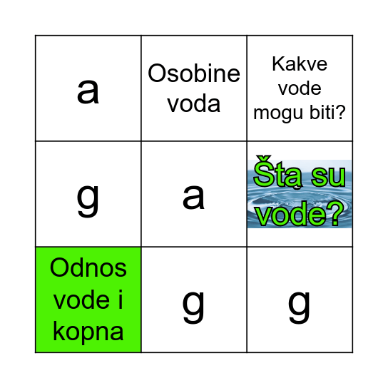 Vode Bingo Card