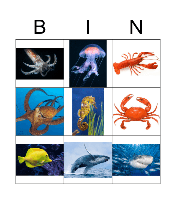 Ocean Animals Bingo Card