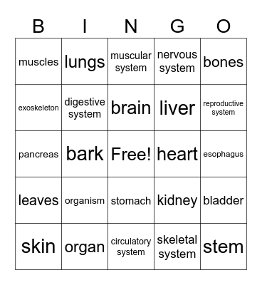 Organs and Organ Systems Bingo Card