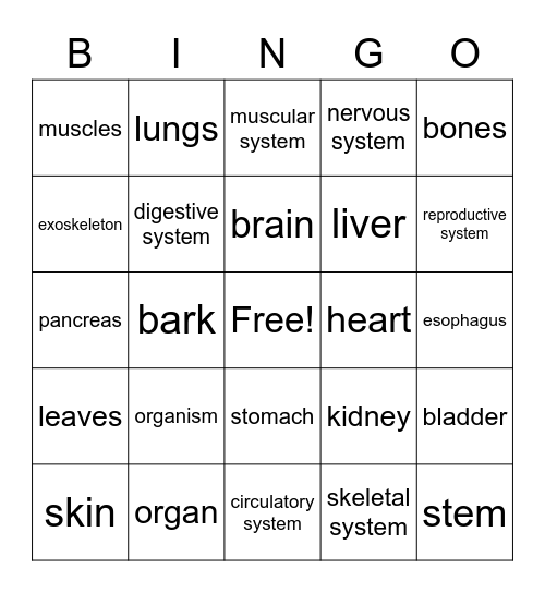 Organs and Organ Systems Bingo Card