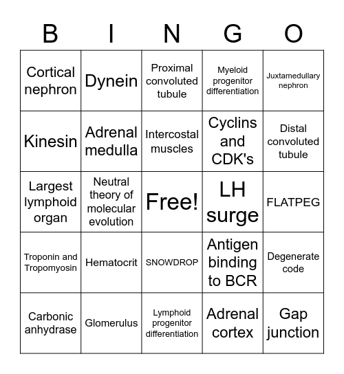 MSFA B/B Bingo Card