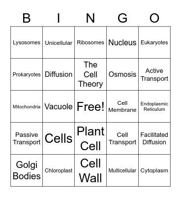 Cells, Cell Organelles, and Cell Transport Bingo Card