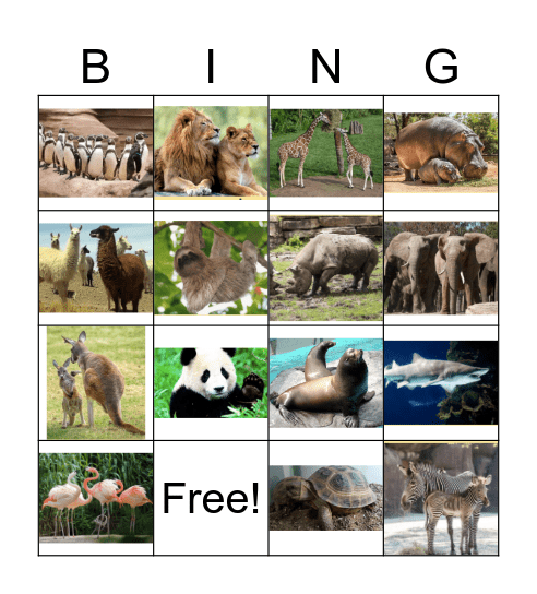 FLES 3.U1.1 Name common zoo animals Bingo Card