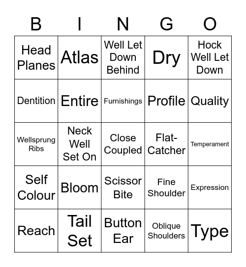 Glossary Of Terms - Critique Bingo Card