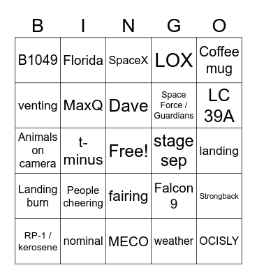 SpaceX Starlink L-17 Bingo Card