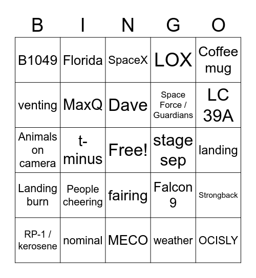 SpaceX Starlink L-17 Bingo Card