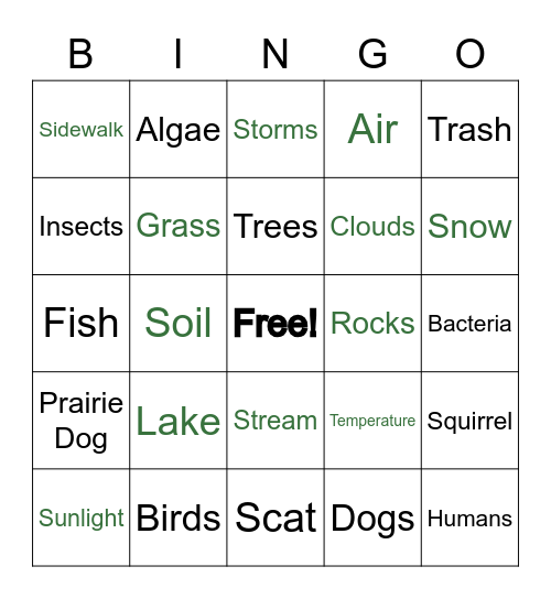 Abiotic and Biotic Bingo Card