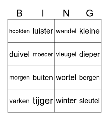 Woordpakket 17 Bingo Card