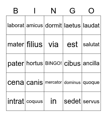 Stages 1 and 2 Vocabulary Bingo Card