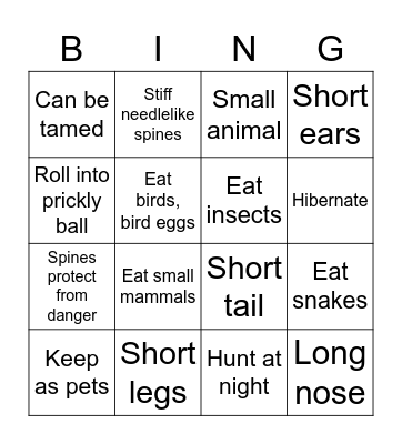 Hedgehog Fact BINGO! Bingo Card