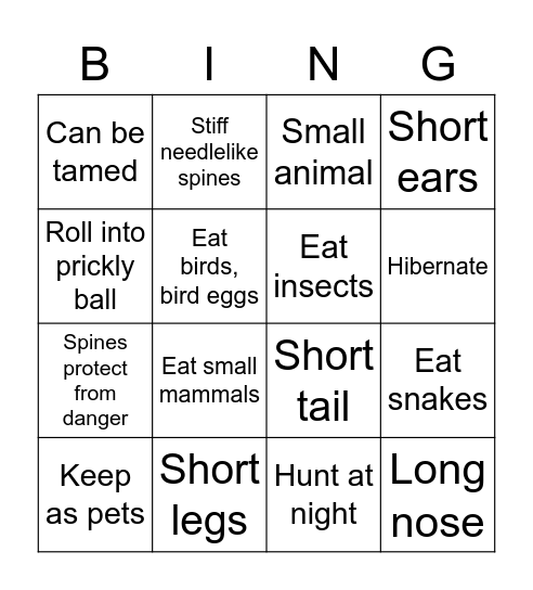 Hedgehog Fact BINGO! Bingo Card